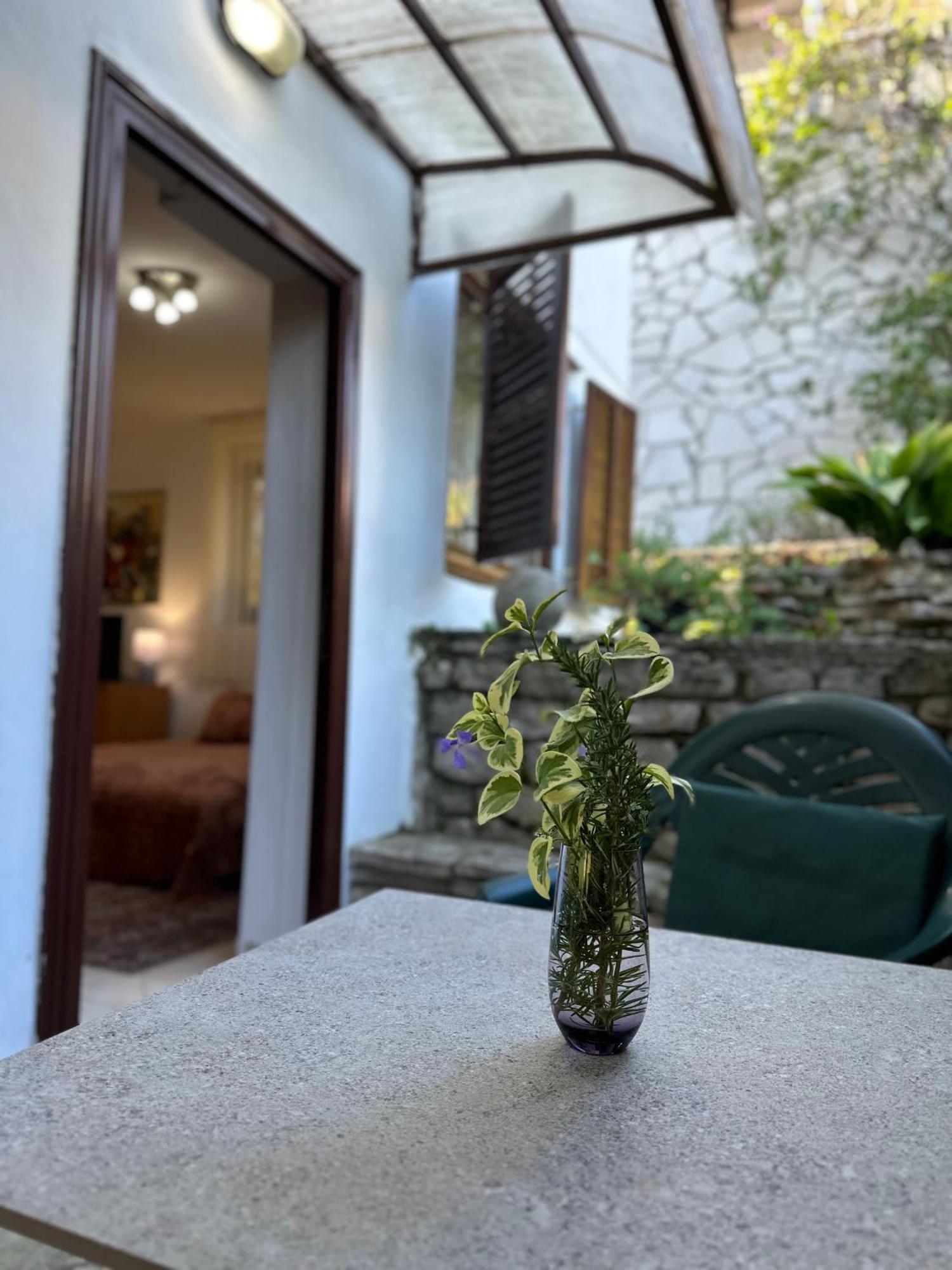 Studio Apartment Palma Херцег Нови Екстериор снимка