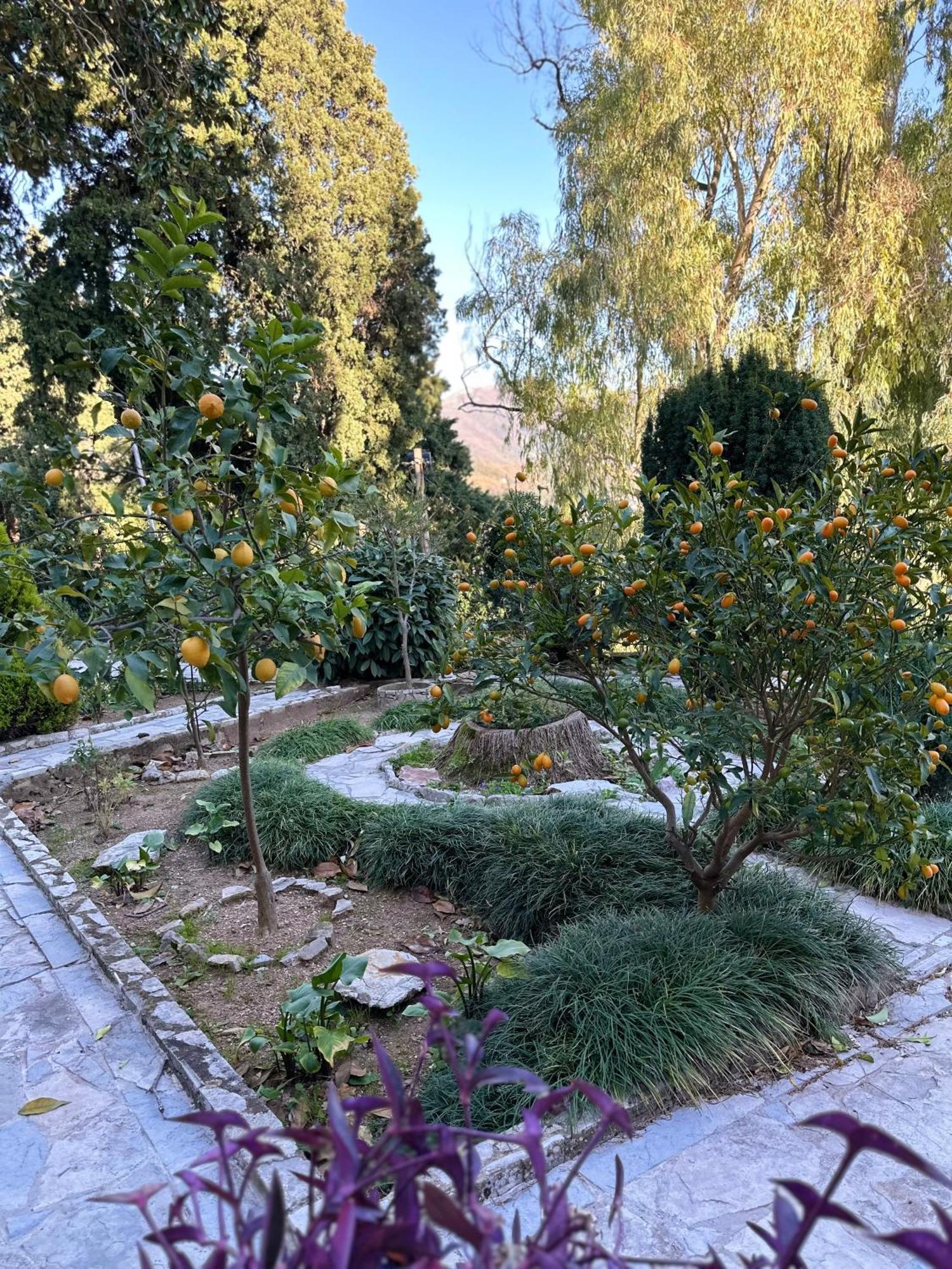 Studio Apartment Palma Херцег Нови Екстериор снимка