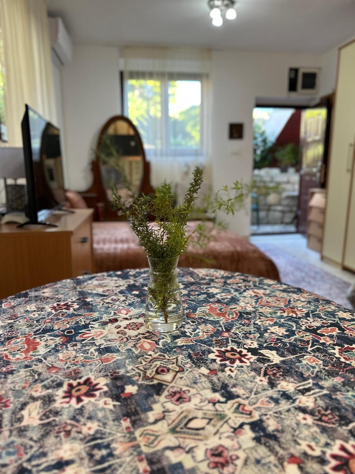 Studio Apartment Palma Херцег Нови Екстериор снимка